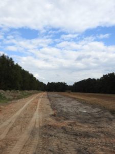 Travaux Warndt ParK aout 2016